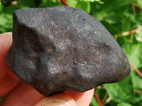 Meteorites texas - Historical Notes: In April, 1887, a farmer by the name of Frank Kolb struck the meteorite with his plow in a field about five miles south of Carlton, Texas. About a year later he consigned the iron with a Mr. J.D. St. Clair, where it was sold to Prof. Edgar Everhart (1854-1932) at the University of Texas.